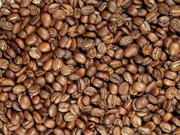 Káva Arabica Mexico Altura SHG