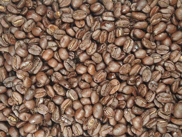 Káva Nikaragua Julieta A