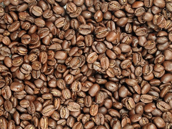 Káva Keňa Masai AA