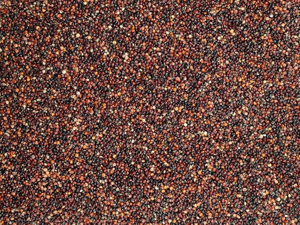 Ořechy a laskominy Quinoa černá