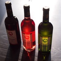 Svatomartinská vína 2015