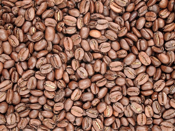 Káva Arabica Ekvádor Loja