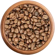 bio koření: Laos Bolaven Plateau