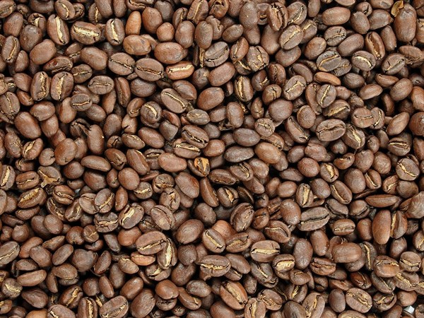 Káva Etiopie Sidamo BIO