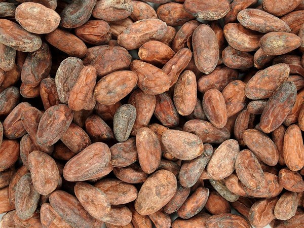 Ořechy a laskominy Kakaové boby