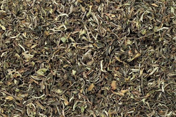 Černý čaj Darjeeling Namring First Flush