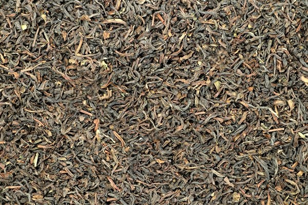 Černý čaj Darjeeling Chongtong Inbetween BIO