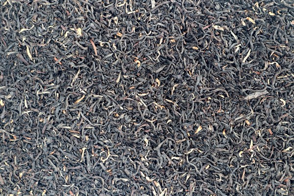 Černý čaj Východofríský zlatý list