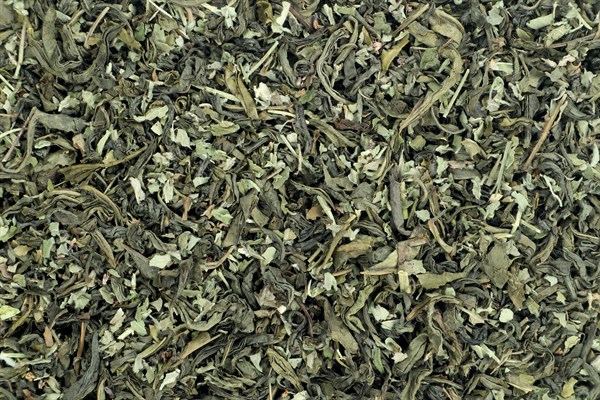 Zelený čaj s příchutí Gruzínský zelený čaj s mátou