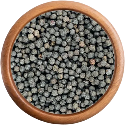 Verbena pepř
