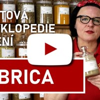 Čubrica (video)