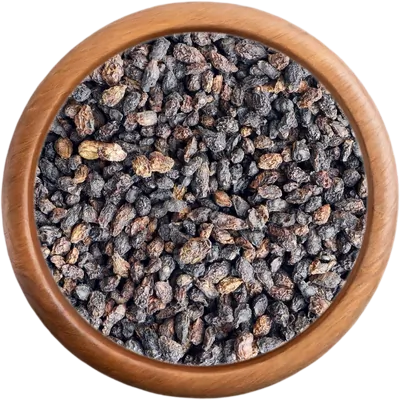 Patagonský pepř