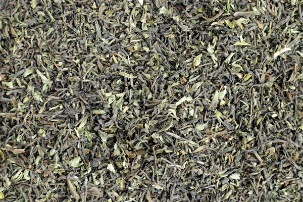 Černý čaj Darjeeling first flush TGFOPI Thurbo