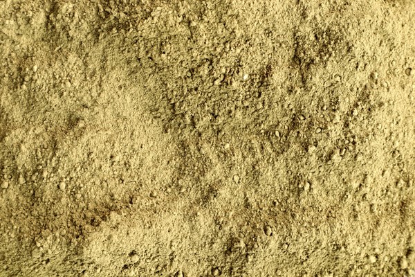 Zelený čaj Matcha Hojicha pražená